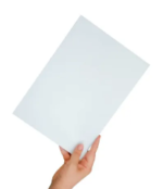 A4 paper (potential art)- single sheet