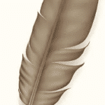 Filthy, smelly & heavy feather