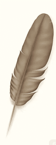cropped-feather.png Filthy, smelly & heavy feather - Image 1