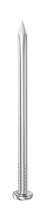 nail Giant Nail for hammer - Image 1